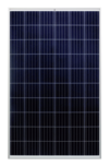 Panneau solaire 270 Wc polycristallin